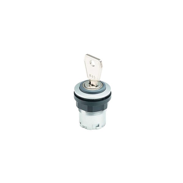 JRSSA12E-Product-Image-600x600.jpg Schlegel JRSSA12E Key Actuator Head Maintained 2 x 90 Degrees 22.3 mm Round JRSSA12E
