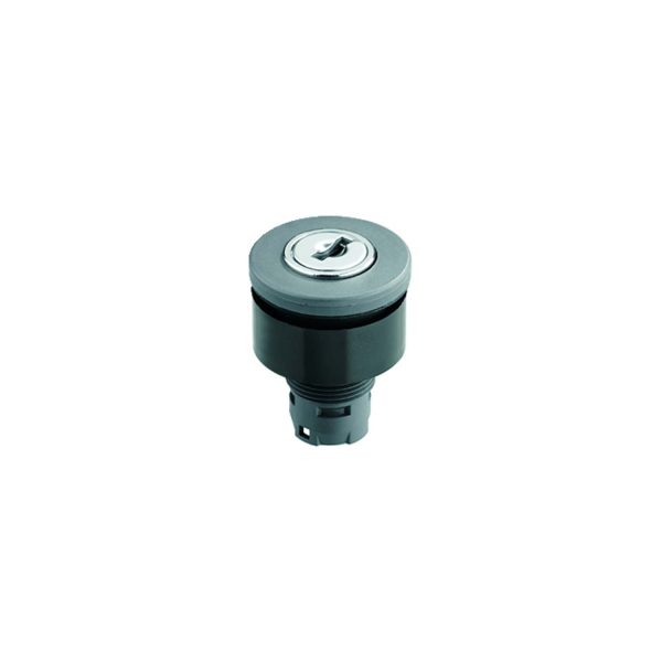 RXJSSA12E-Product-Image-600x600.jpg Schlegel RXJSSA12E Key Actuator (RX-JUWEL) Maintained 2 x 90 Degrees 22.3 mm Round RXJSSA12E