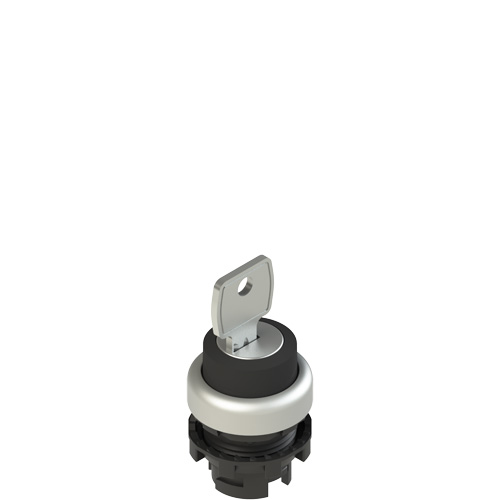 E2_1SCxxxx19xx_500.jpg E2 1SC3QCE19AA Key selector