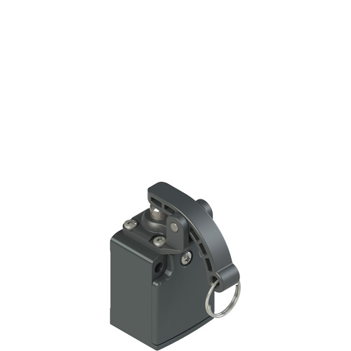 FC_x09_500.jpg FC 309-M2 Position switch with rope for signalling