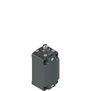 FD 604 Position switch