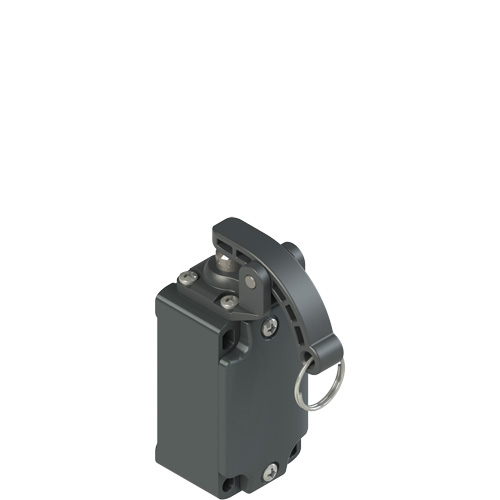 FD_x09_500.jpg FD 1009-M2 Position switch with rope for signalling