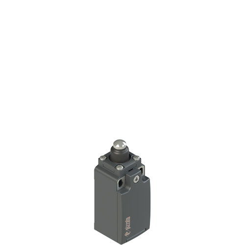 FR_x08_500.jpg FR 608 Position switch with piston plunger