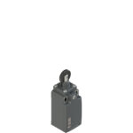 FR 616 Position switch with roller and stainless steel piston plunger
