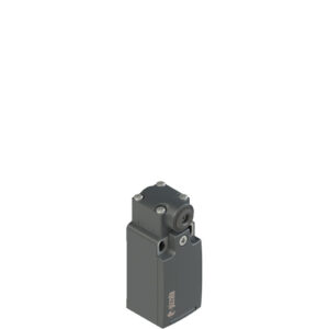 FR 538-A Position switch for rotating levers