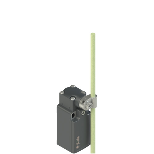 FR_x69_500.jpg FR 1569-M2 Position switch with adjustable glass-fibre rod lever