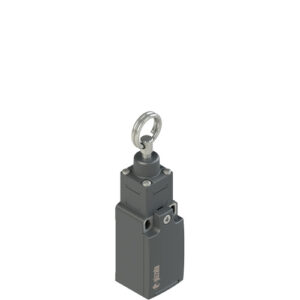 FR 1273 Stable position switch for rope actuation