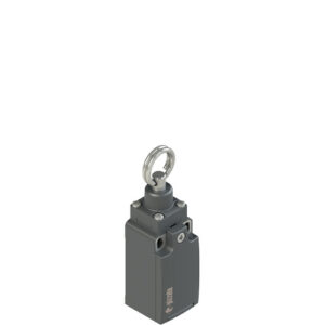 FR 576 Position switch for rope actuation