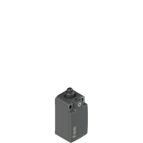 FR 21A1 Position switch with short piston plunger