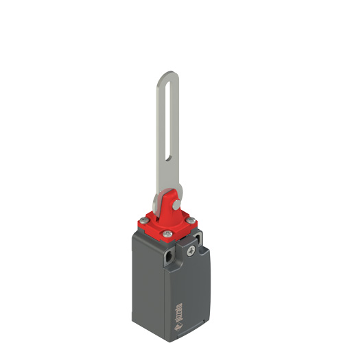 FR_xC5_500.jpg FR 5C5-M2 Safety switch with slotted hole lever