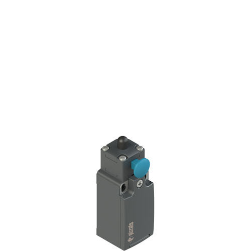 FR_xF1_500.jpg FR 10F1 Position switch with piston plunger for electric panels