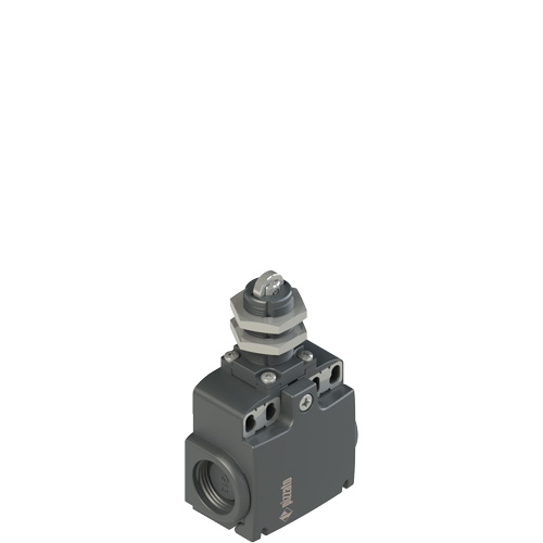FX_x13_500.jpg FR 1113-M2 Position switch with roller and threaded piston plunger
