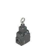 FX 1273-M2 Stable position switch for rope actuation