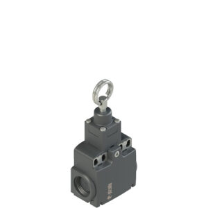 FX 1273-M2 Stable position switch for rope actuation