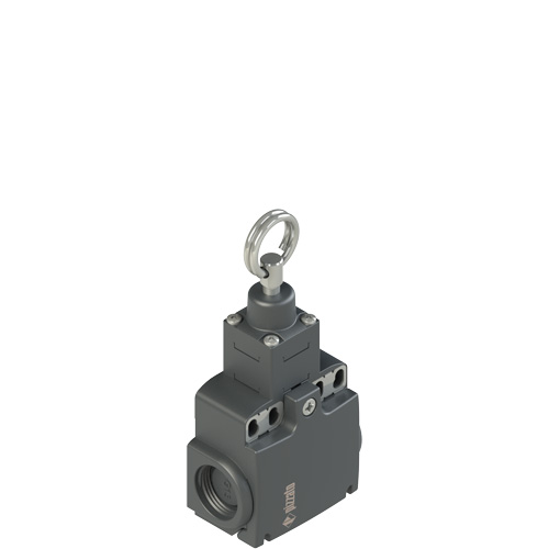 FX 1273-M2 Stable position switch for rope actuation