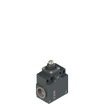 FR 708 Position switch with piston plunger