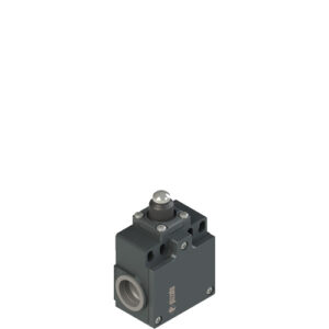 FR 708 Position switch with piston plunger