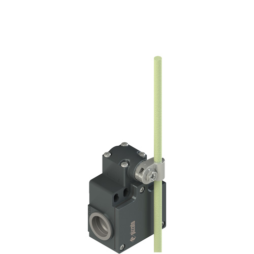 FZ_x69_500.jpg FR 969-M2 Position switch with adjustable glass-fibre rod lever