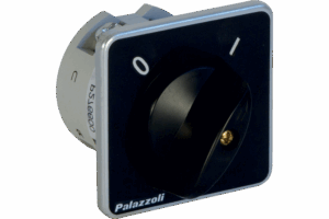 P276801 CAM FLUSH MOUNTING SWITCH 2X40A