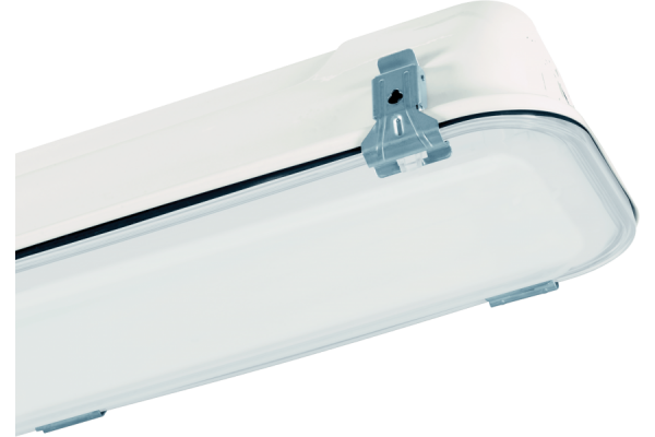 P881062_MAIN_png_900_600_contain_70.png P881562 BULKHEAD RINO PAINTED INOX-OPALINE POLYCARBONATE DIFFUSER 2X24W