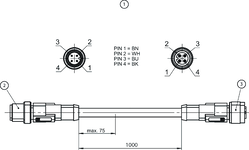 ast_2386806_m.png Euchner 089420E | C-M12M04-04X075PU01